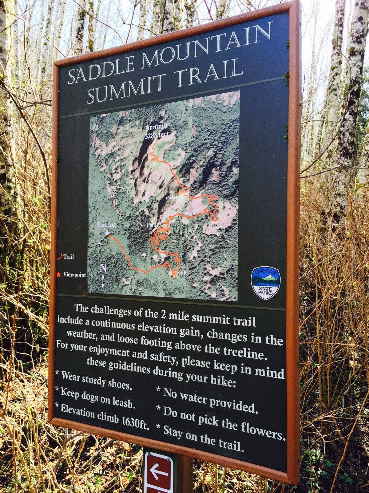 Trail Tip: Use your cell phone to take a picture of the map at the trailhead in case you get lost or forgot to bring a GPS.