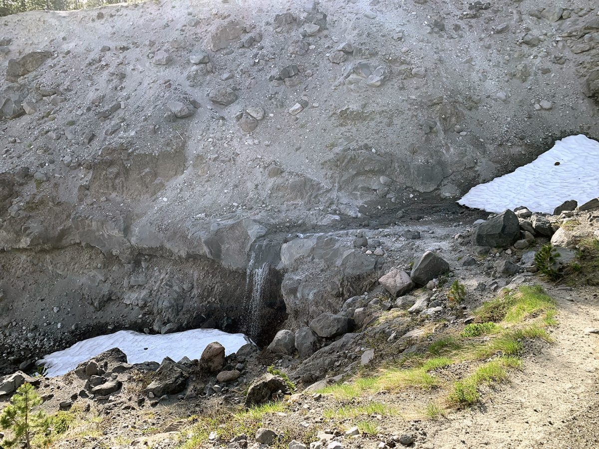 Water sources like this one tend to disappear in the late summer when the snow fully melts off. - June 2020