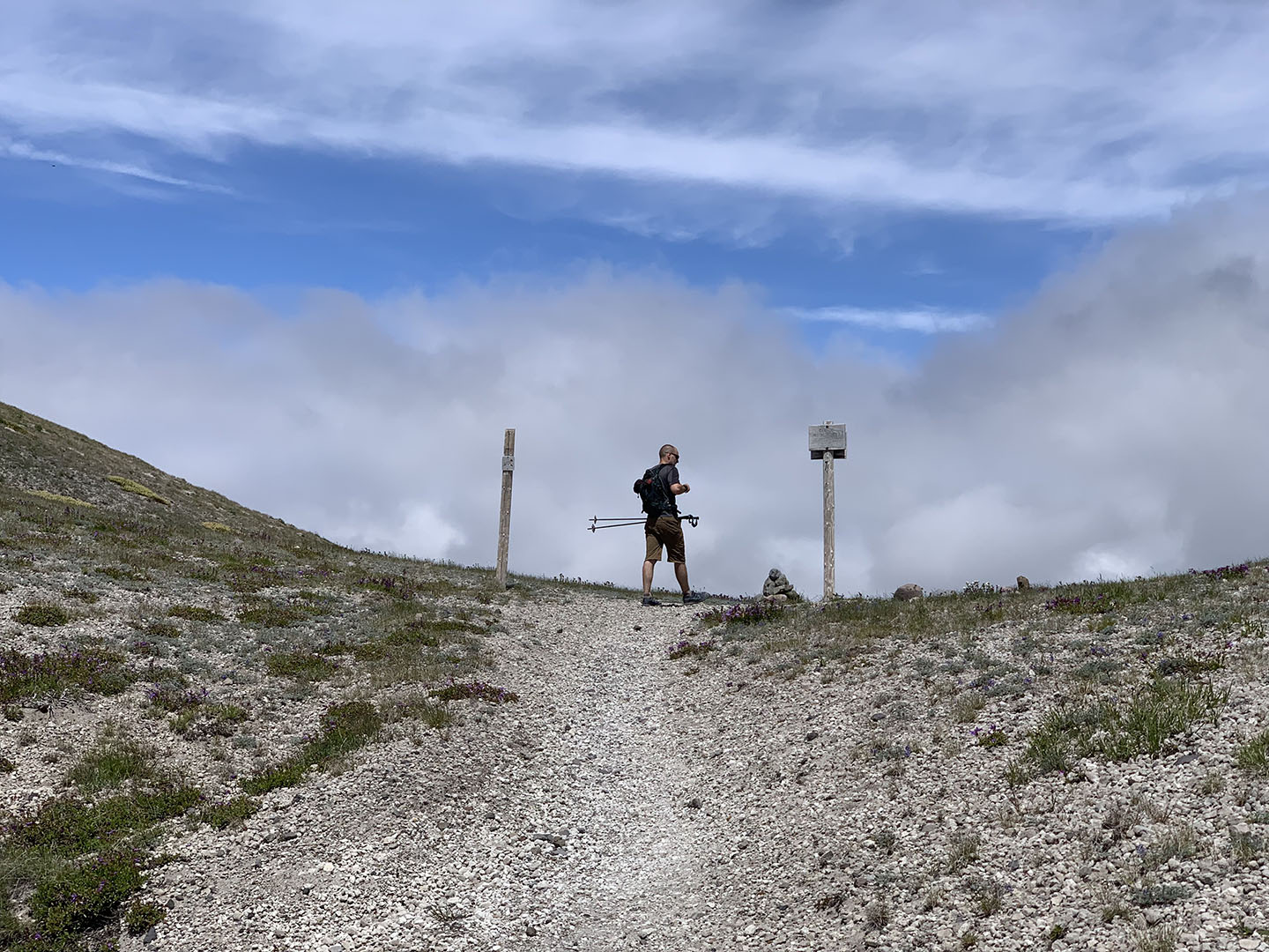 Loowit Trail - Windy Ridge - June 2019