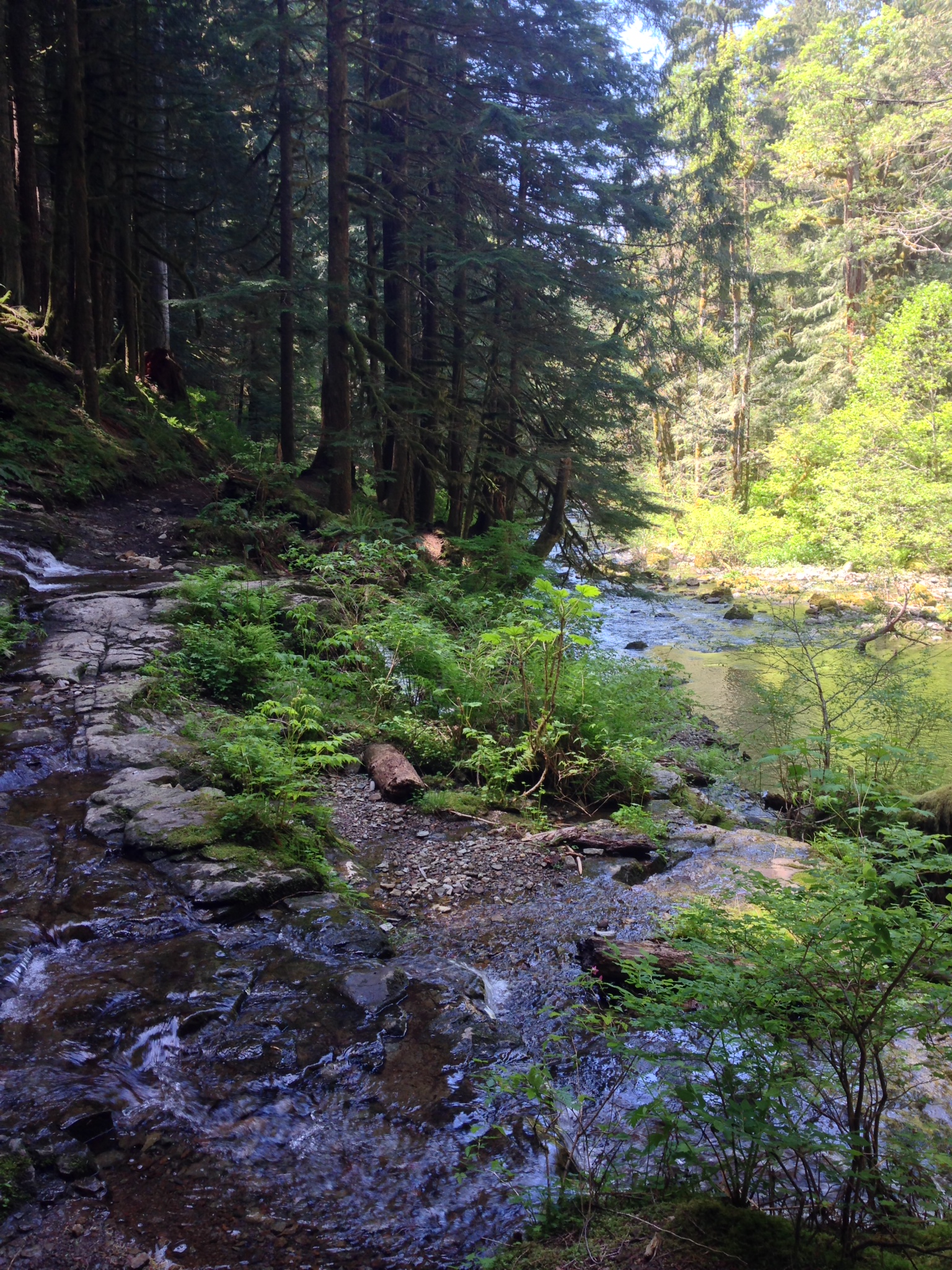 4 Reasons Why the Dangerous Beauty Award Goes to Siouxon Loop ...