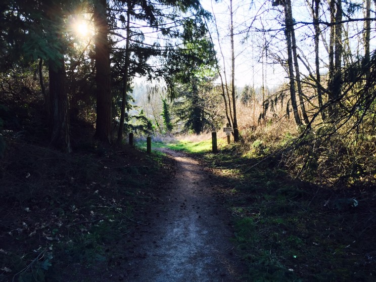 Hiking Ellen Davis Trail – Vancouver, Washington – WanderlustHiker