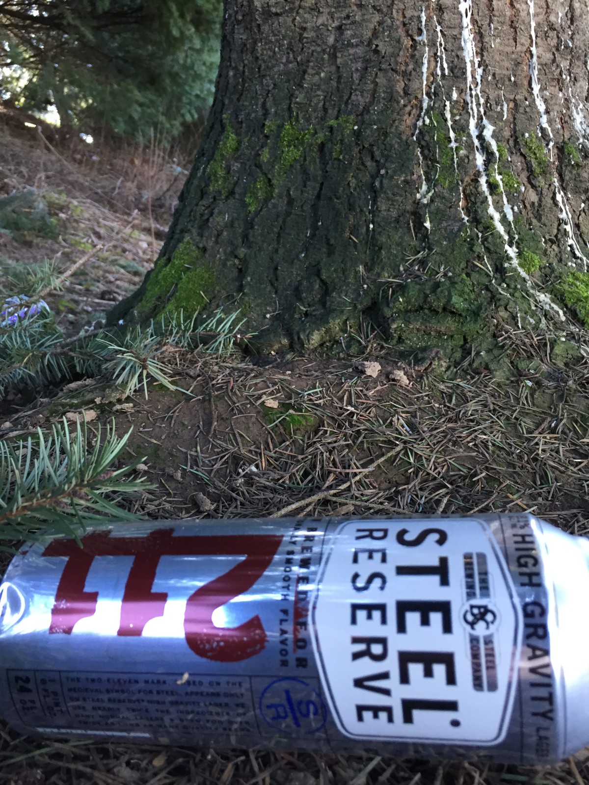 Steel Reserve for the trail.