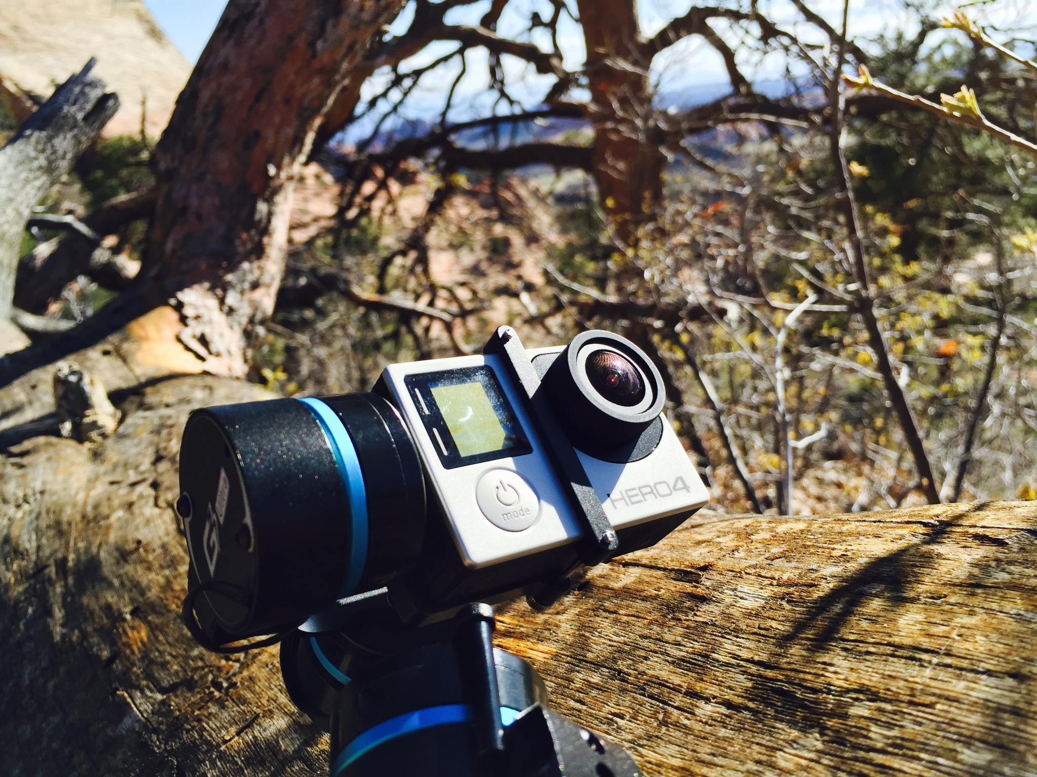 Backpacking Through Zion National Park, Utah – WanderlustHiker