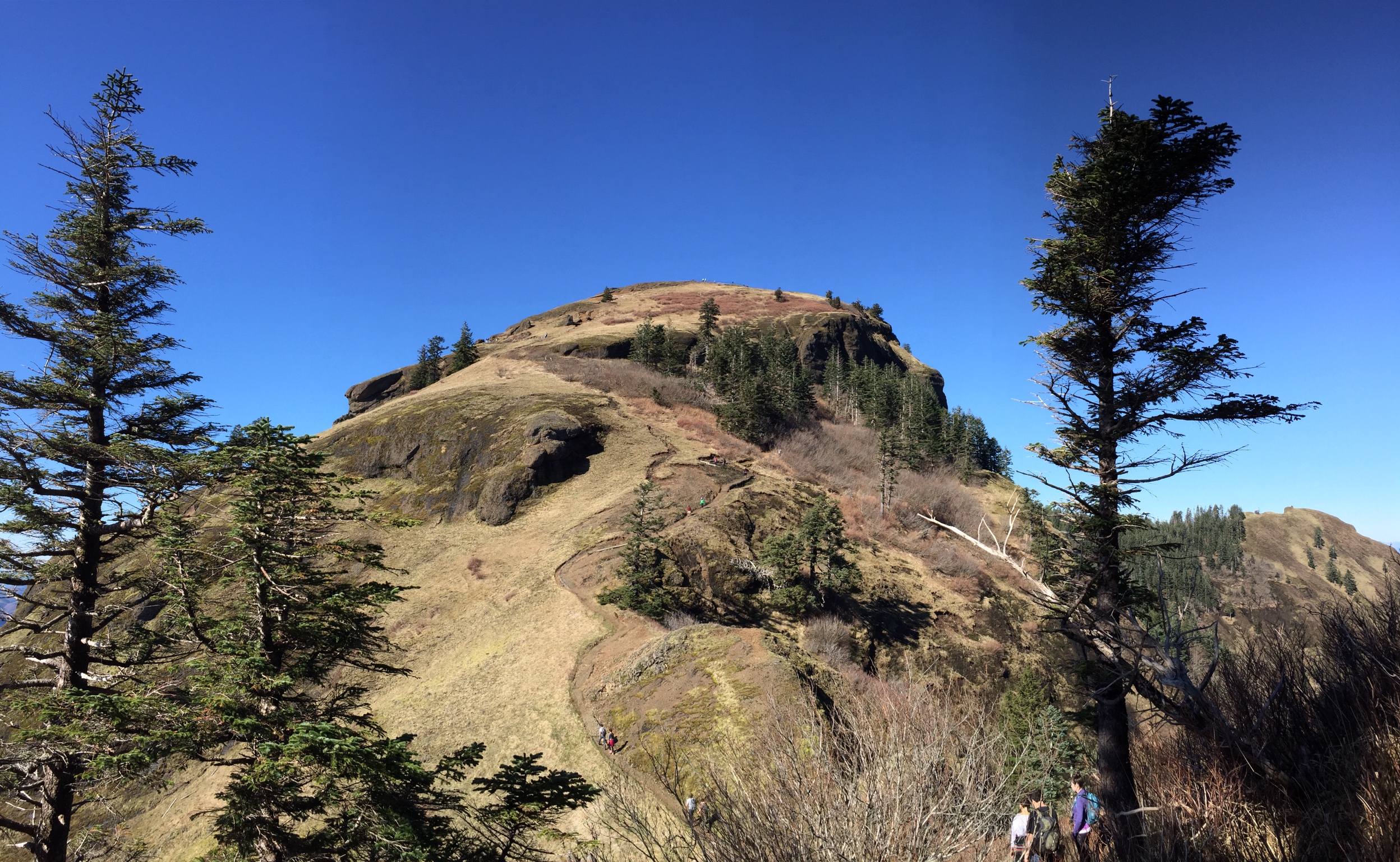 Hiking Saddle Mountain, Oregon