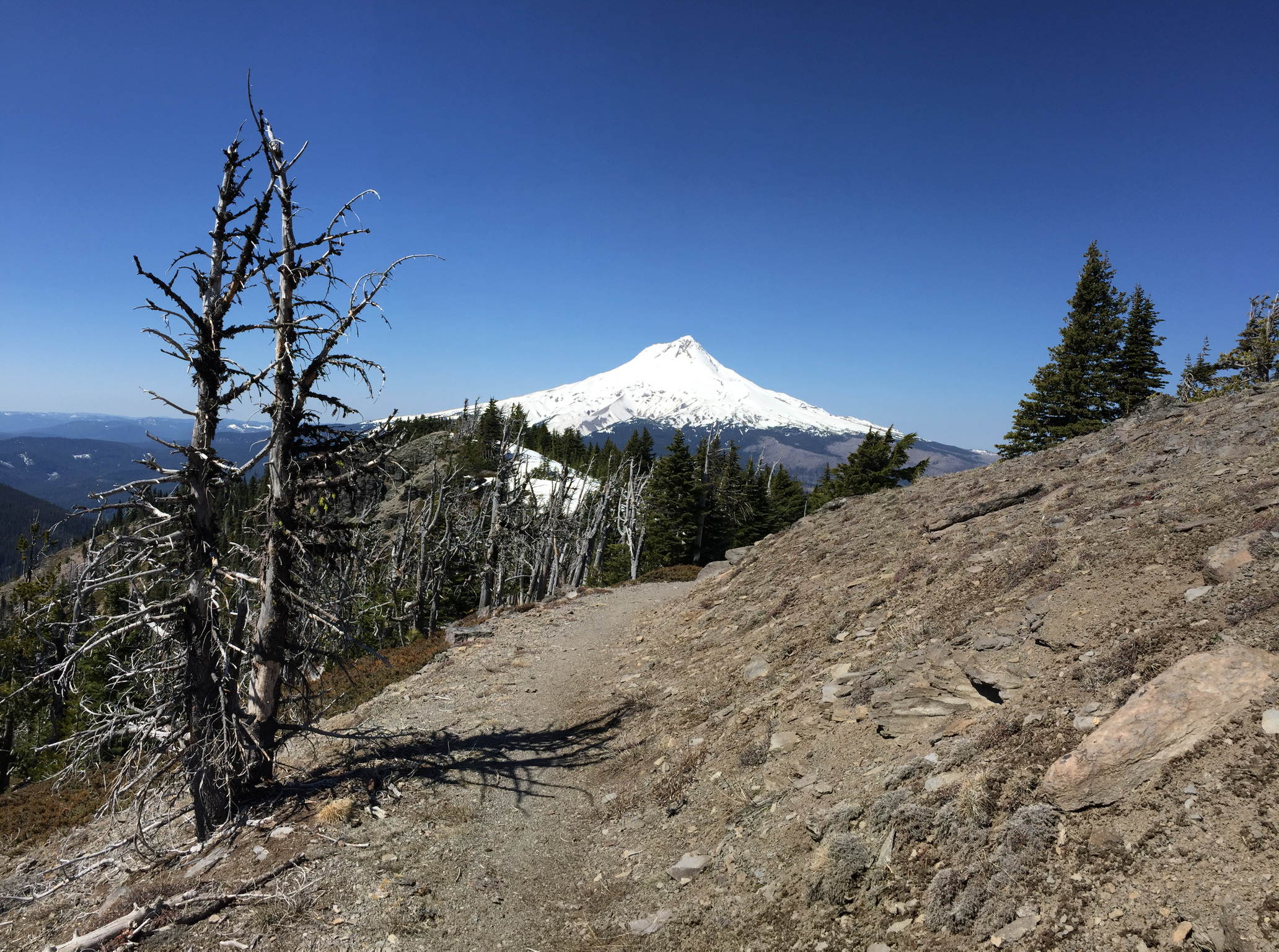 Hiking Lookout Mountain, Oregon