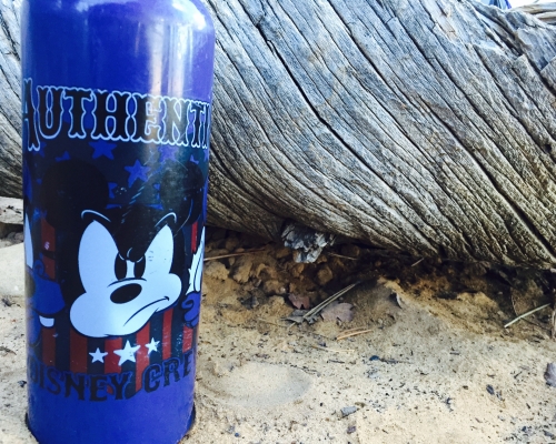 Another technique is to buy the 'never-dry' Disney Crew water bottle.
