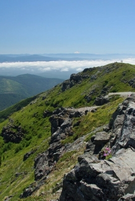 Silver Star Mountain