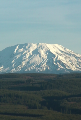 Mt. St. Helens